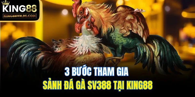 Đá Gà SV388 - Sảnh Cược Cực Hot Cho Mọi Kê Thủ Tại King88 6 3 bước tham gia sản Đá gà SV388 tại King88