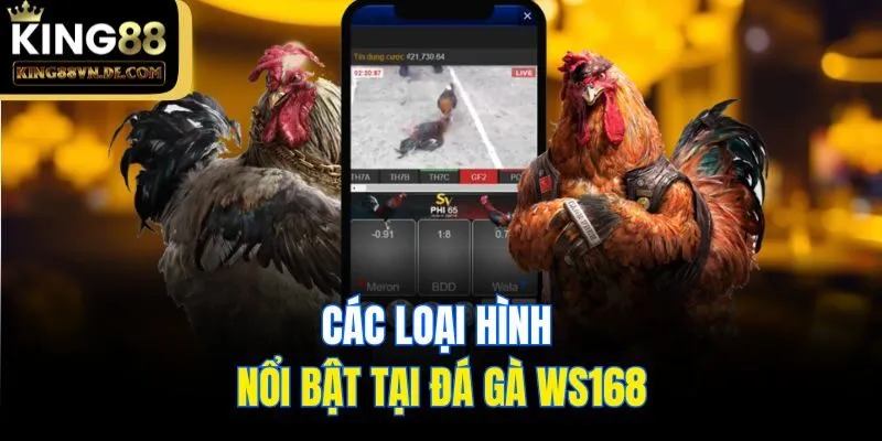 Đá Gà WS168 - Sân Chơi Giải Trí Cho Kê Thủ Chuyên Nghiệp 6 Các loại hình nổi bật tại đá gà WS168