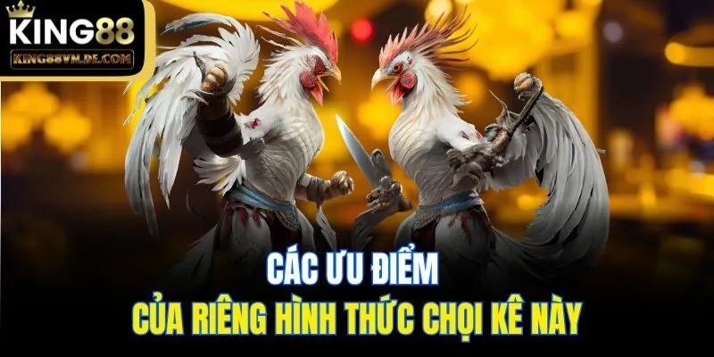 Đá Gà Thomo King88 - Nơi Quy Tụ Các Chiến Kê Đỉnh Cao Nhất 5 Các ưu điểm của riêng hình thức chọi kê này