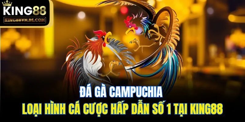 Đá Gà Campuchia - Loại Hình Cá Cược Hấp Dẫn Số 1 Tại King88 1 Đá Gà Campuchia - Loại Hình Cá Cược Hấp Dẫn Số 1 Tại King88
