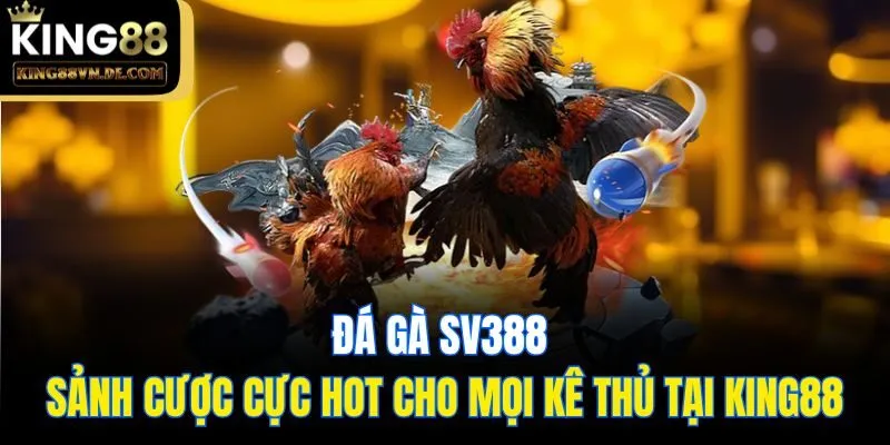 Đá Gà SV388 - Sảnh Cược Cực Hot Cho Mọi Kê Thủ Tại King88 9 Đá Gà SV388 - Sảnh Cược Cực Hot Cho Mọi Kê Thủ Tại King88