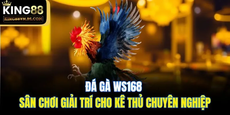 Đá Gà WS168 - Sân Chơi Giải Trí Cho Kê Thủ Chuyên Nghiệp 5 Đá Gà WS168 - Sân Chơi Giải Trí Cho Kê Thủ Chuyên Nghiệp
