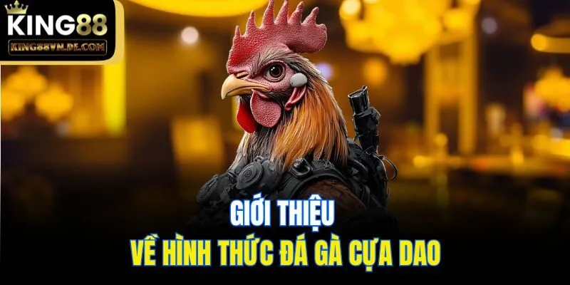 Tìm Hiểu Về Đá Gà Cựa Dao - Loại Hình Chọi Kê Căng Thẳng 4 Giới thiệu về hình thức đá gà cựa dao