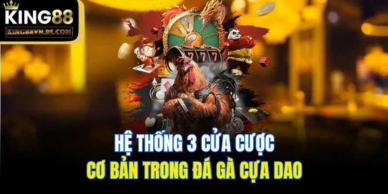 Tìm Hiểu Về Đá Gà Cựa Dao - Loại Hình Chọi Kê Căng Thẳng 6 Hệ thống 3 cửa cược cơ bản trong đá gà cựa dao