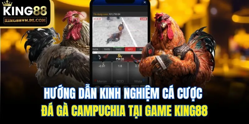 Đá Gà Campuchia - Loại Hình Cá Cược Hấp Dẫn Số 1 Tại King88 6 Hướng dẫn kinh nghiệm cá cược đá gà Campuchia tại Game King88