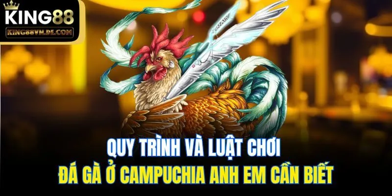 Đá Gà Campuchia - Loại Hình Cá Cược Hấp Dẫn Số 1 Tại King88 5 Quy trình và luật chơi đá gà ở Campuchia anh em cần biết