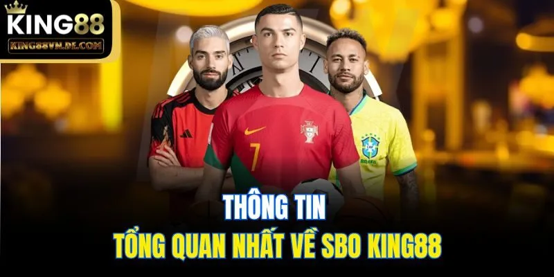 SBO King88 - Sân Chơi Cá Cược Thể Thao Dẫn Đầu Châu Á 4 Thông tin tổng quan nhất về SBO King88