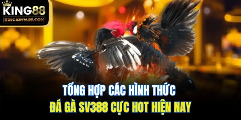 Đá Gà SV388 - Sảnh Cược Cực Hot Cho Mọi Kê Thủ Tại King88 5 Tổng hợp các hình thức Đá gà SV388 cực hot hiện nay