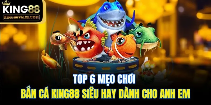 Top 6 Mẹo Chơi Bắn Cá King88 Siêu Hay Dành Cho Anh Em 5 Top 6 Mẹo Chơi Bắn Cá King88 Siêu Hay Dành Cho Anh Em